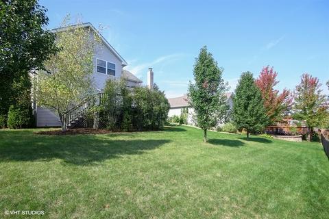 406 Apache Dr, New Lenox, IL 60451 photo 15