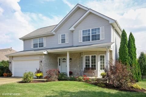 406 Apache Dr, New Lenox, IL 60451 photo 1