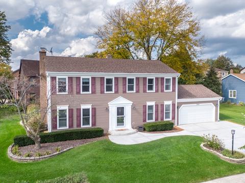 3900 Latour Ct, Hoffman Estates, IL 60192 photo 1