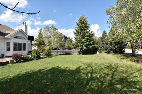 13227 Brooklands Ln, Plainfield, IL 60585 photo 47