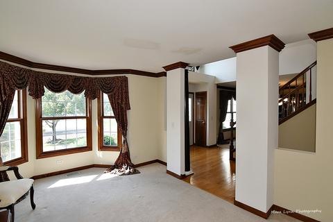 13227 Brooklands Ln, Plainfield, IL 60585 photo 9