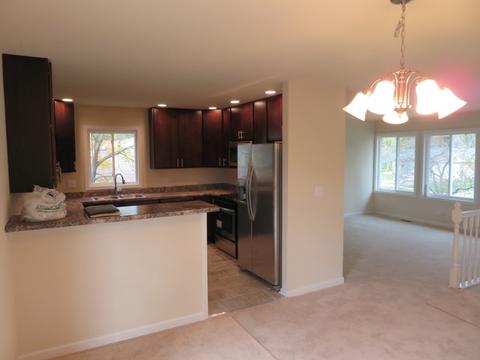 1133 Sebring Dr, Elgin, IL 60120 photo 4