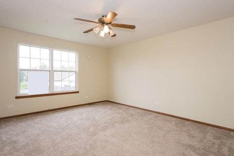 4509 Mallard Ln, Plainfield, IL 60586 photo 20