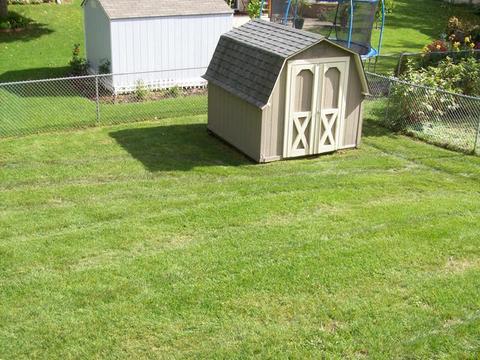 809 Grant St, Bartlett, IL 60103 photo 17