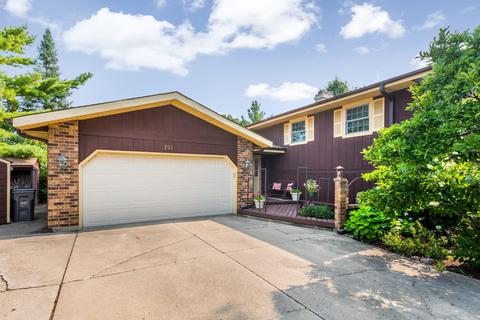 203 Brookside Dr, Elgin, IL 60123 photo 27