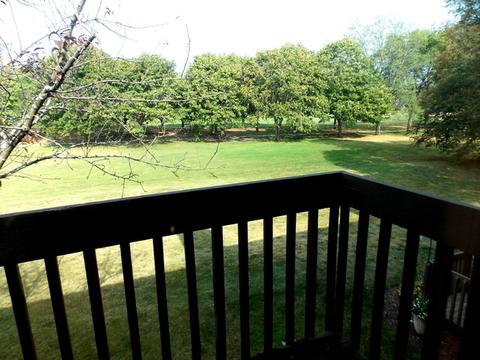1936 Golf View Dr, Bartlett, IL 60103 photo 6
