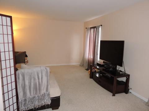 13657 S Jane Cir, Plainfield, IL 60544 photo 13