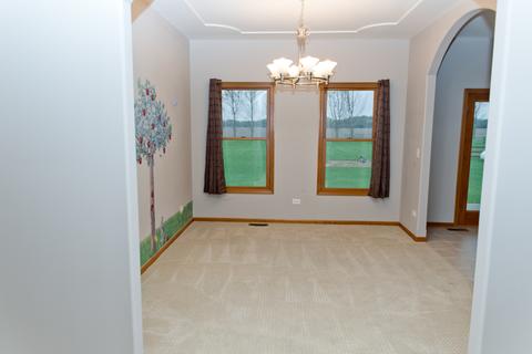 1355 E Braceville Rd, Mazon, IL 60444 photo 6