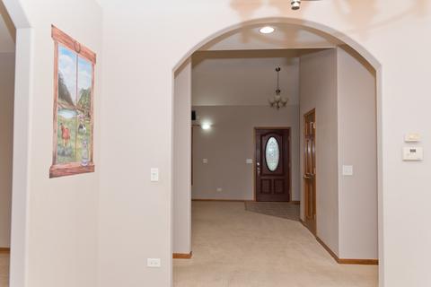1355 E Braceville Rd, Mazon, IL 60444 photo 10