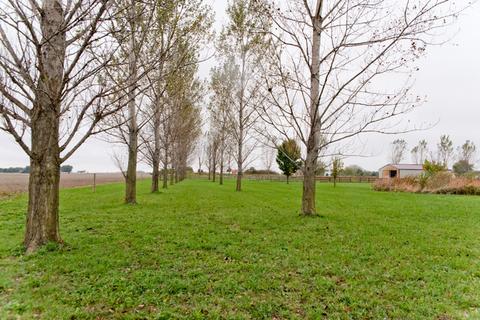 1355 E Braceville Rd, Mazon, IL 60444 photo 19