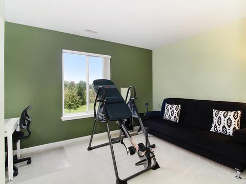 1017 Simms Ct, Plano, IL 60545 photo 29