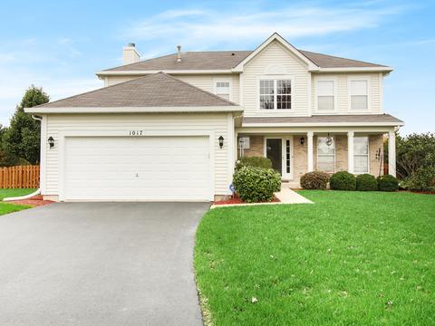 1017 Simms Ct, Plano, IL 60545 photo 6