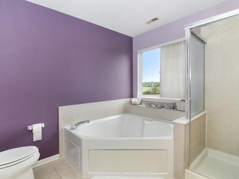 1017 Simms Ct, Plano, IL 60545 photo 34