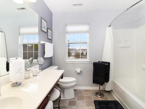 1017 Simms Ct, Plano, IL 60545 photo 26