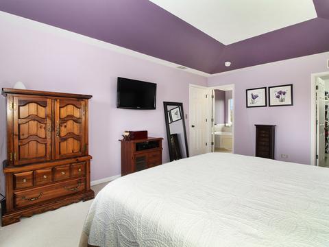 1017 Simms Ct, Plano, IL 60545 photo 31