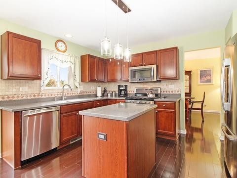 1017 Simms Ct, Plano, IL 60545 photo 17