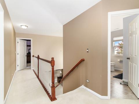 1017 Simms Ct, Plano, IL 60545 photo 36