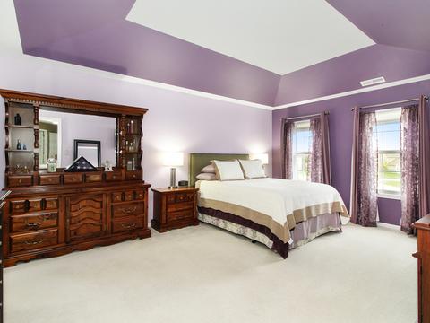 1017 Simms Ct, Plano, IL 60545 photo 30