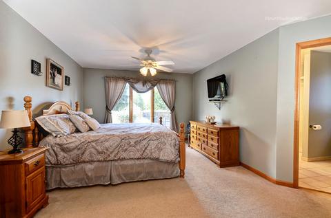 12576 Mitchell Dr, Plano, IL 60545 photo 19