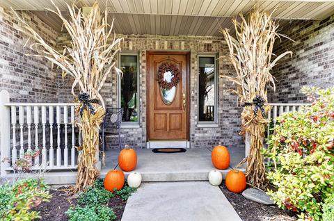 12576 Mitchell Dr, Plano, IL 60545 photo 9