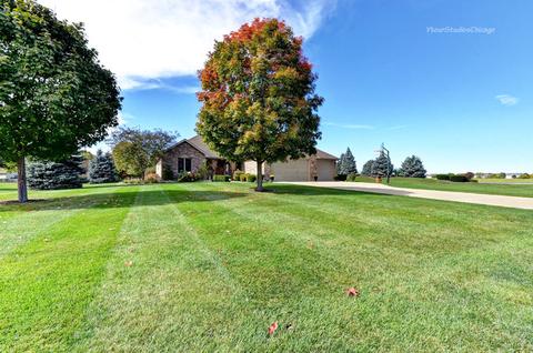 12576 Mitchell Dr, Plano, IL 60545 photo 7