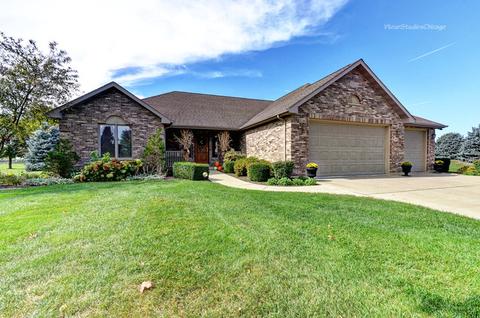 12576 Mitchell Dr, Plano, IL 60545 photo 1