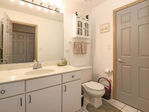 15418 Hamlin Ave, Markham, IL 60428 photo 28