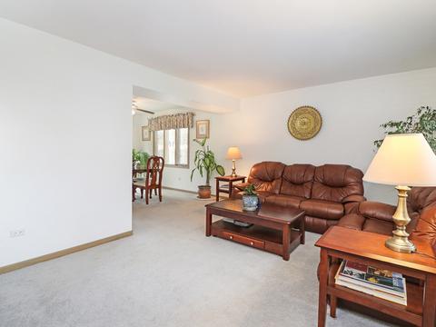 15418 Hamlin Ave, Markham, IL 60428 photo 16
