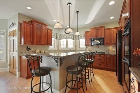 10 N869 Williamsburg Dr, Elgin, IL 60124 photo 8