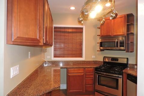 534 E 44th St #2, Chicago, IL 60653 photo 19