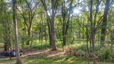 101 Crabtree Rd, East Dundee, IL 60118 photo 38