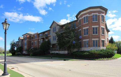 271 E Railroad Ave #303, Bartlett, IL 60103 photo 1