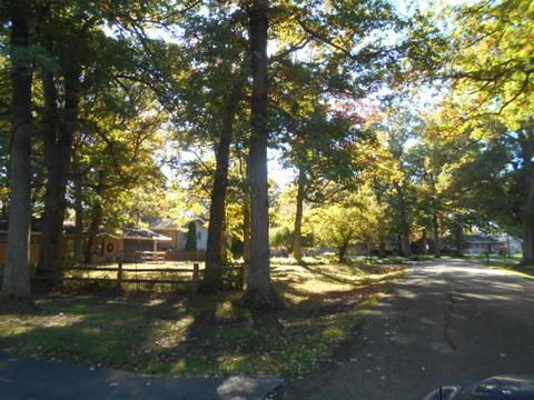 332 Tree Ln, Prophetstown, IL 61277 photo 2