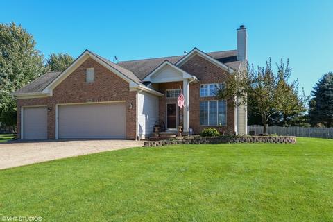 18009 Springbrook Cir, Union, IL 60180 photo 1
