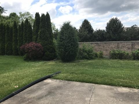 2012 Harper Rd, Darien, IL 60561 photo 31