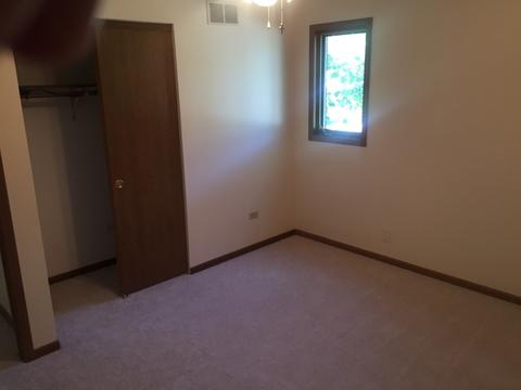 1999 Powder River Path, Elgin, IL 60123 photo 18