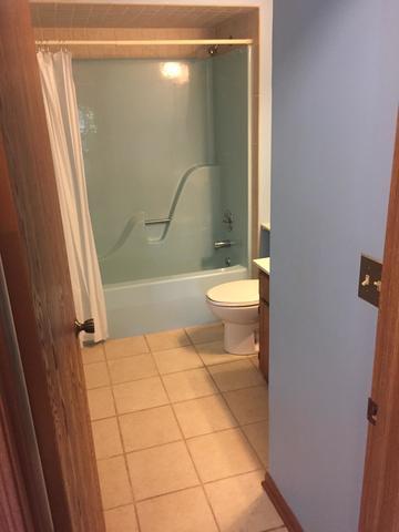 1999 Powder River Path, Elgin, IL 60123 photo 16
