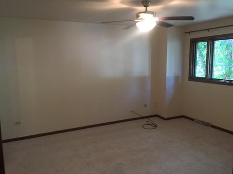 1999 Powder River Path, Elgin, IL 60123 photo 5