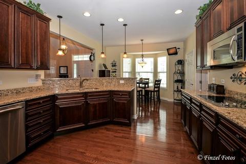 1008 Riviera Dr, Elgin, IL 60124 photo 4