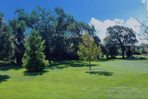1107 Joseph Cir, Johnsburg, IL 60050 photo 21