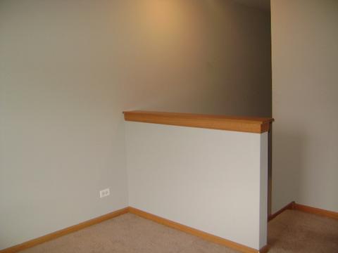 469 E Willow St #1, Elburn, IL 60119 photo 13