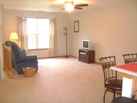 469 E Willow St #1, Elburn, IL 60119 photo 3