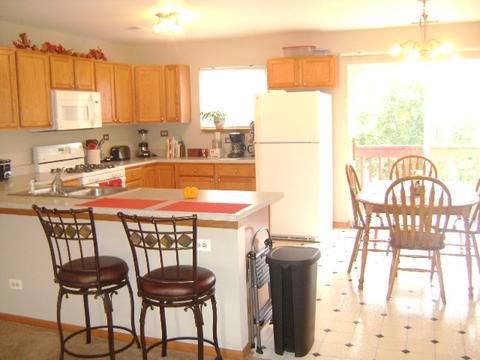 469 E Willow St #1, Elburn, IL 60119 photo 5