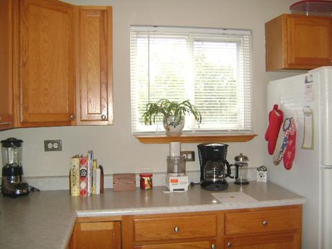 469 E Willow St #1, Elburn, IL 60119 photo 8