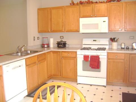 469 E Willow St #1, Elburn, IL 60119 photo 7