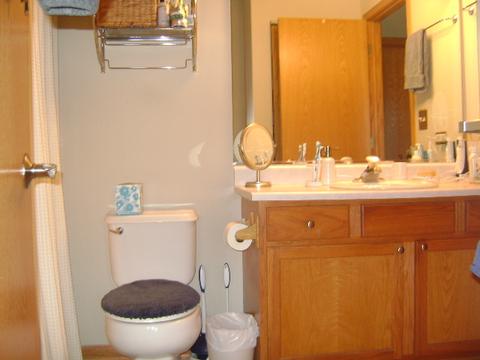 469 E Willow St #1, Elburn, IL 60119 photo 18