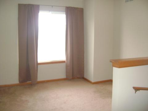 469 E Willow St #1, Elburn, IL 60119 photo 12