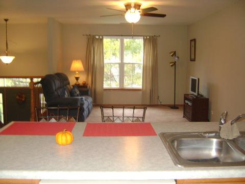 469 E Willow St #1, Elburn, IL 60119 photo 4