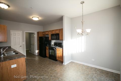 3811 Traditions Dr, Olympia Fields, IL 60461 photo 16