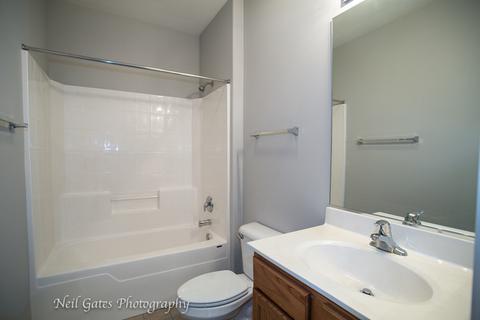 3811 Traditions Dr, Olympia Fields, IL 60461 photo 13